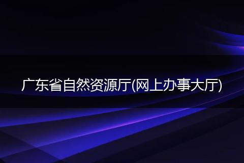 广东省自然资源厅(网上办事大厅)