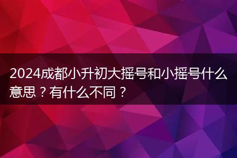 2024成都小升初大摇号和小摇号什么意思？有什么不同？
