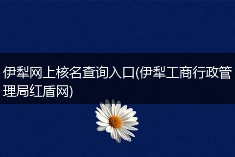 伊犁网上核名查询入口(伊犁工商行政管理局红盾网)