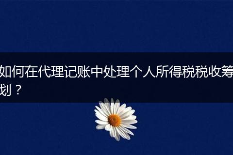 如何在代理记账中处理个人所得税税收筹划?