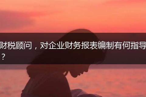 财税顾问,对企业财务报表编制有何指导?