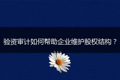 验资审计如何帮助企业维护股权结构?