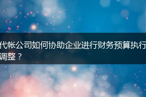 代帐公司如何协助企业进行财务预算执行调整?