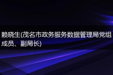 赖晓生(茂名市政务服务数据管理局党组成员、副局长)