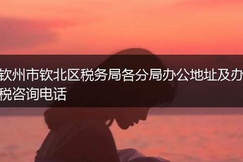 钦州市钦北区税务局各分局办公地址及办税咨询电话