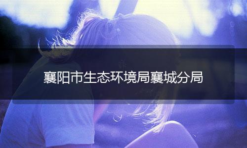 襄阳市生态环境局襄城分局