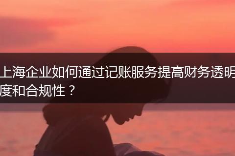 上海企业如何通过记账服务提高财务透明度和合规性?