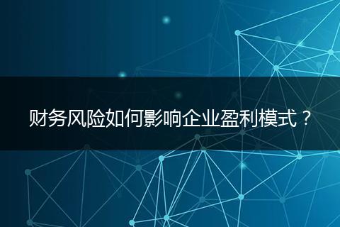 财务风险如何影响企业盈利模式?
