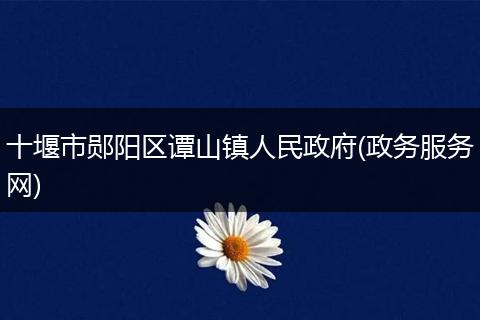 十堰市郧阳区谭山镇人民政府(政务服务网)