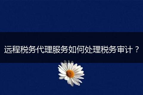 远程税务代理服务如何处理税务审计？