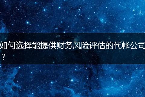 如何选择能提供财务风险评估的代帐公司？