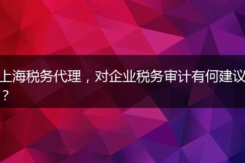 上海税务代理,对企业税务审计有何建议?