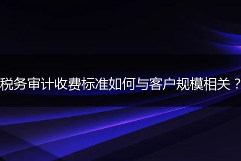 税务审计收费标准如何与客户规模相关？