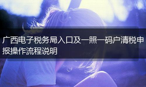 广西电子税务局入口及一照一码户清税申报操作流程说明