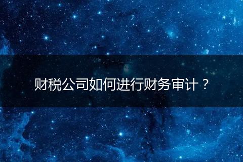 财税公司如何进行财务审计？