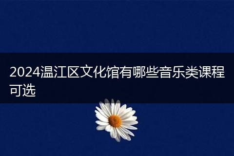 2024温江区文化馆有哪些音乐类课程可选