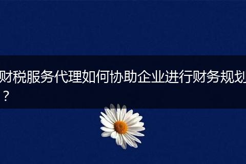 财税服务代理如何协助企业进行财务规划?