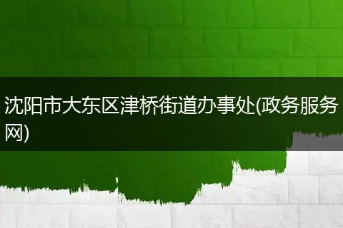 沈阳市大东区津桥街道办事处(政务服务网)