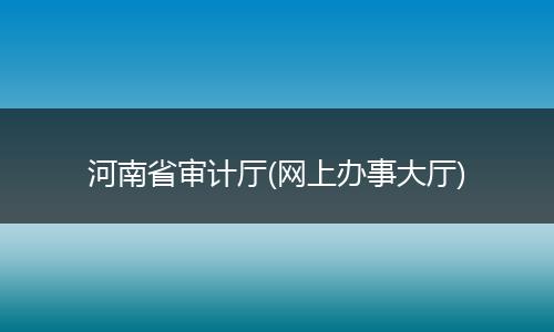 河南省审计厅(网上办事大厅)