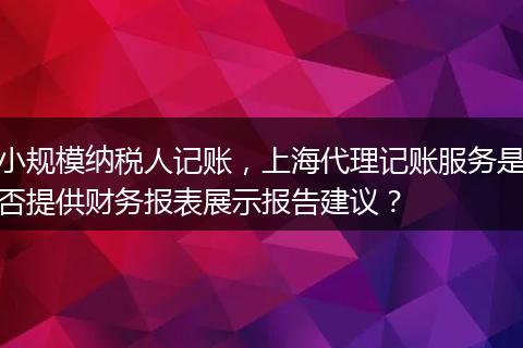 小规模纳税人记账,上海代理记账服务是否提供财务报表展示报告建议?