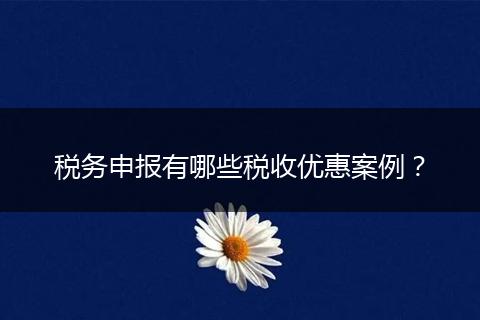 税务申报有哪些税收优惠案例？