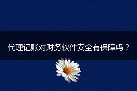 代理记账对财务软件安全有保障吗？