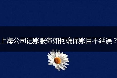 上海公司记账服务如何确保账目不延误?