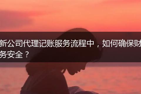 新公司代理记账服务流程中,如何确保财务安全?