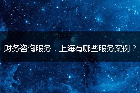 财务咨询服务,上海有哪些服务案例?