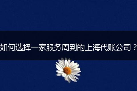 如何选择一家服务周到的上海代账公司?
