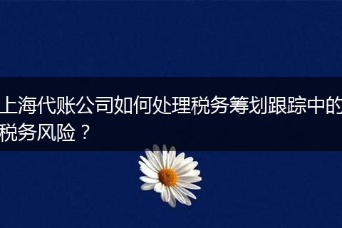 上海代账公司如何处理税务筹划跟踪中的税务风险?