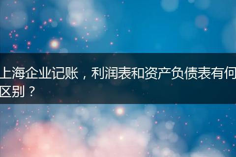 上海企业记账,利润表和资产负债表有何区别?