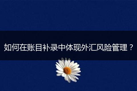 如何在账目补录中体现外汇风险管理？