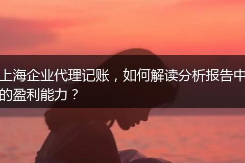 上海企业代理记账,如何解读分析报告中的盈利能力?