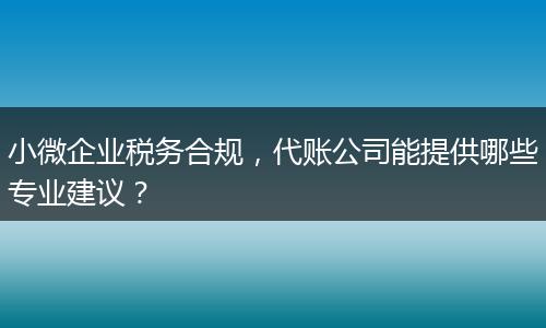 小微企业税务合规,代账公司能提供哪些专业建议?
