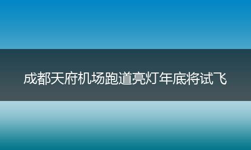 成都天府机场跑道亮灯年底将试飞