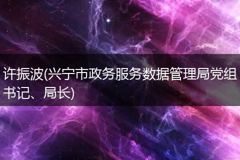 许振波(兴宁市政务服务数据管理局党组书记、局长)