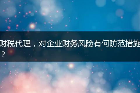财税代理,对企业财务风险有何防范措施?