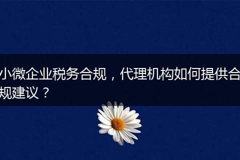 小微企业税务合规,代理机构如何提供合规建议?