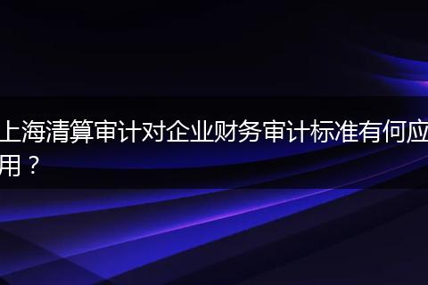 上海清算审计对企业财务审计标准有何应用?