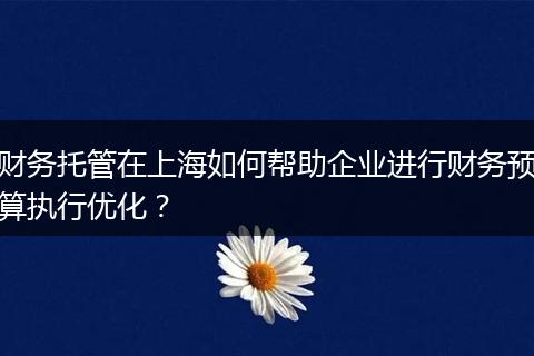 财务托管在上海如何帮助企业进行财务预算执行优化？
