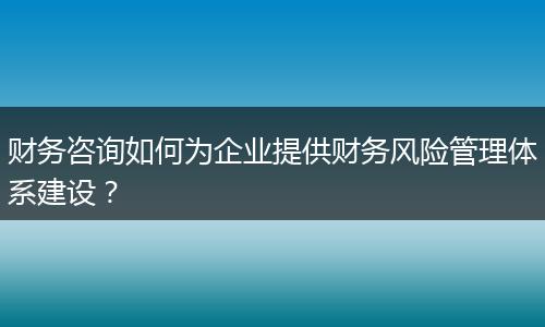 财务咨询如何为企业提供财务风险管理体系建设?