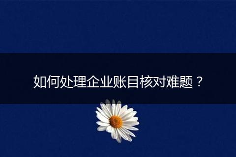 如何处理企业账目核对难题?