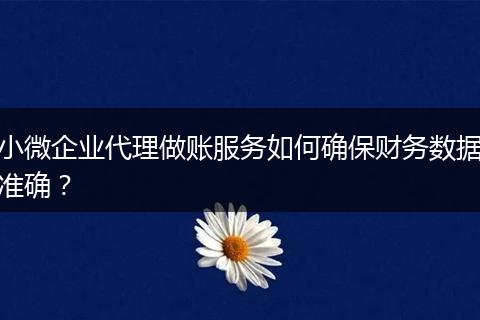 小微企业代理做账服务如何确保财务数据准确?