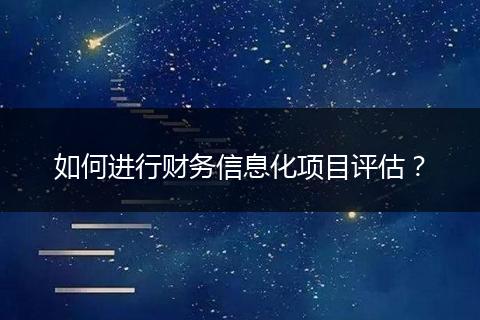 如何进行财务信息化项目评估?