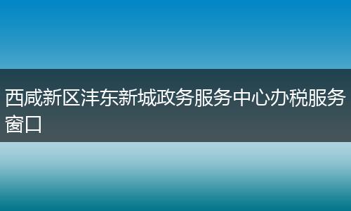 西咸新区沣东新城政务服务中心办税服务窗口