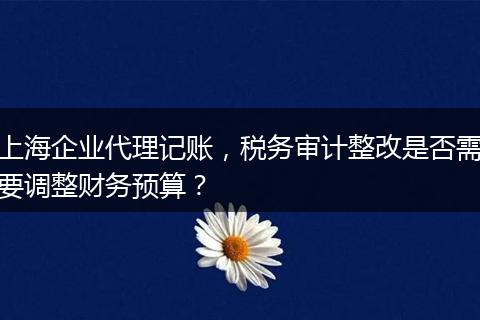 上海企业代理记账,税务审计整改是否需要调整财务预算?