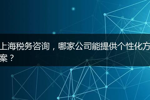 上海税务咨询,哪家公司能提供个性化方案?