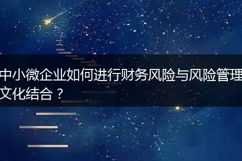 中小微企业如何进行财务风险与风险管理文化结合?