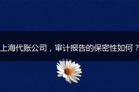 上海代账公司,审计报告的保密性如何?